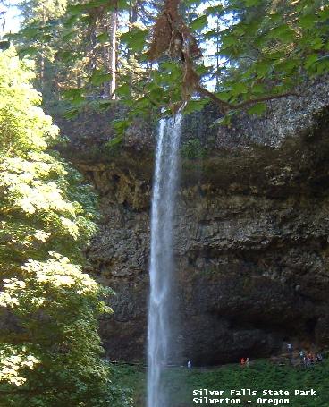 Silver Falls
                              State Park